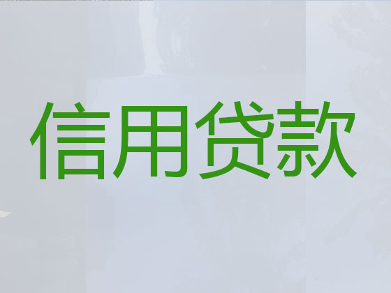 如皋贷款中介公司-银行信用贷款